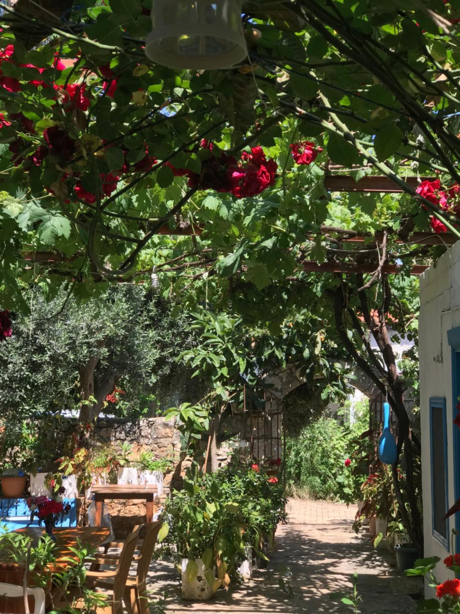 Likya Pansiyon Kaleucagız Exterior foto